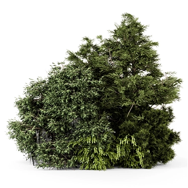 Outdoor Bush Set 2015 VRay 3D model image 1 