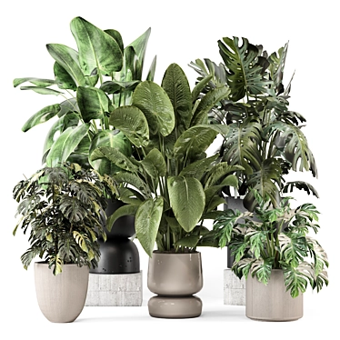 Stylish Indoor Plants Set 2286 3D model image 1 