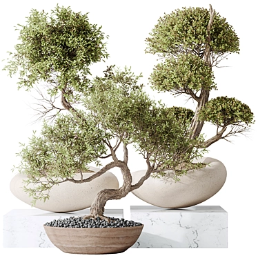 3-in-1 Indoor Plants Set 3D model image 1 