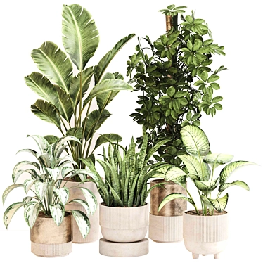 Indoor Oasis Plant Set 0115 3D model image 1 