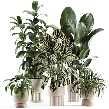 Modern Indoor Plant Model 224 3D model image 1 