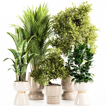 Premium Indoor Plants Set 107 3D model image 1 