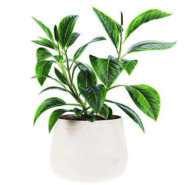 High Poly 3D Plants Set 3D model image 1 