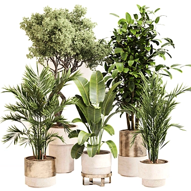 Modern Indoor Plant Set 0118 3D model image 1 