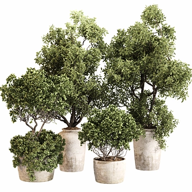 Serene Outdoor Plant Set 012 3D model image 1 