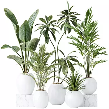 Premium Indoor Plant Set Collection 3D model image 1 