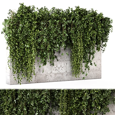 Concrete Wall Hanging Plants Set 3D model image 1 