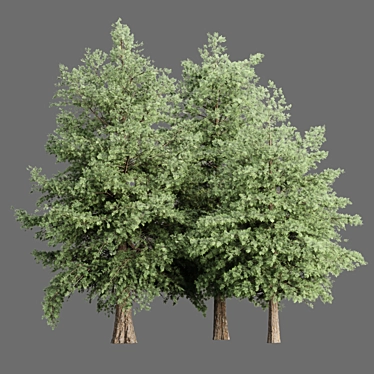 Grove Collection: Volume 78 3D model image 1 