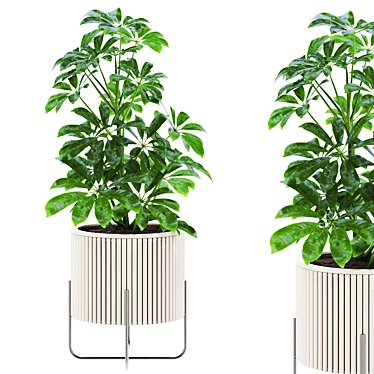 Vibrant Plants Set 3D Model 3D model image 1 