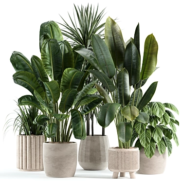 Custom Modeled Indoor Plant 243 3D model image 1 