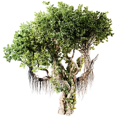 Jungle Tree & Ivy Plants Kit 3D model image 1 