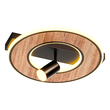 Contemporary Round Wood Ceiling Light 3D model image 1 