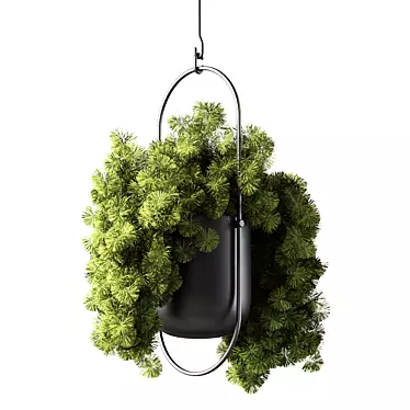 Modern Hanging Plant Set Collection 3D model image 1 