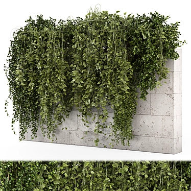 Concrete Wall Hanging Plant Set 3D model image 1 