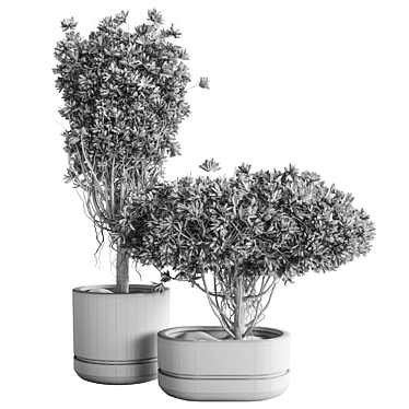 Modern Indoor Plant Decor Set 3D model image 1 