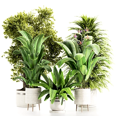 High-Quality Indoor Plants Set 3D model image 1 