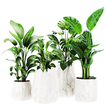 Plants set 120