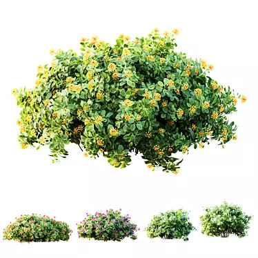 Confetti Lantana Bush 3D Models 3D model image 1 