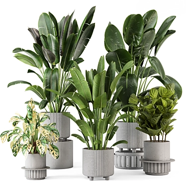 Cecilia Ficonstone Indoor Planters Set 3D model image 1 