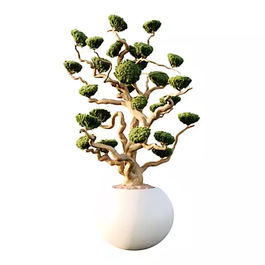 Luxury Potted Sphere Tree Model 3D model image 1 