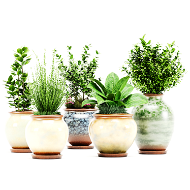  PBR Indoor Plant Set 3D model image 1 