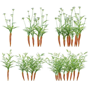 Diverse 3D Plant Models Collection 3D model image 1 