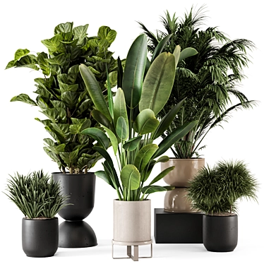 Indoor Plants in Ferm Living Bau Pot Large - Set 2312