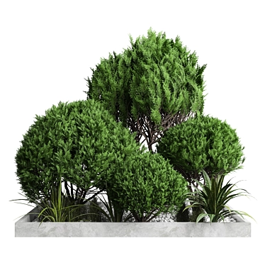 2015 Outdoor Plant 189 3D Model 3D model image 1 