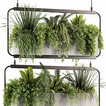 Premium Hanging Indoor Plants Set 3D model image 1 