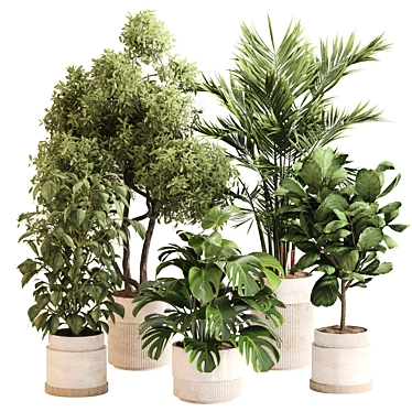 Sleek Indoor Plant Set 0119 3D model image 1 