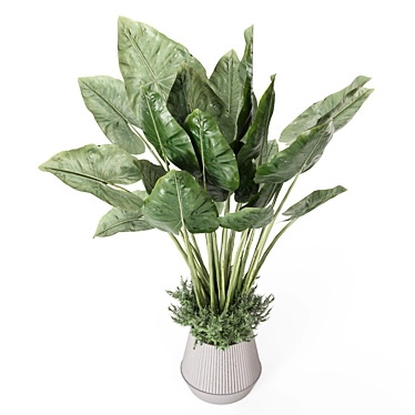 Indoor Plants in Ferm Living Bau Pot Large - Set 2333