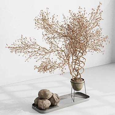 dry branch in a stand vase - Bouquet 60