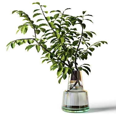 Branch with leaves in a glass vase, bouquet with tree branch