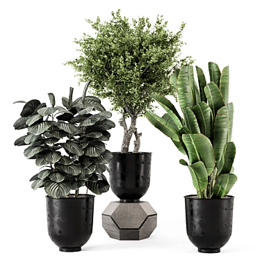 Artisanal Metal Pot Indoor Plants 3D model image 1 