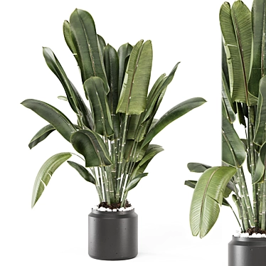 Indoor Plants in Ferm Living Bau Pot Large - Set 2346