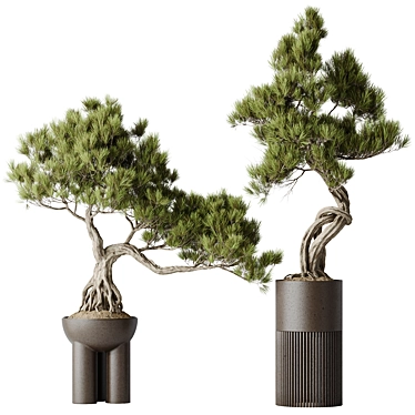 Title: Bonsai Pinus Pentaphylla Set 3D model image 1 