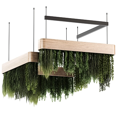 Indoorplants- Hanging Plants - Set45