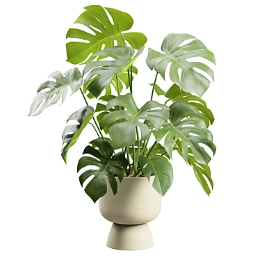 Tropical Monstera Deliciosa Beige Planter 3D model image 1 