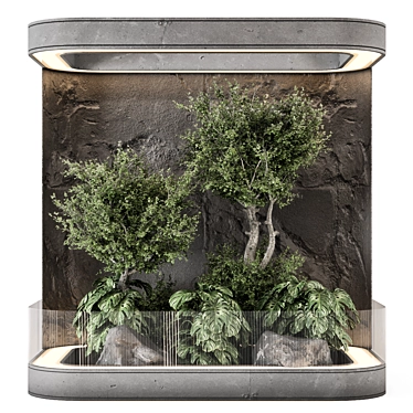 Indoor Plants Garden Behind the Glass - Set 2369