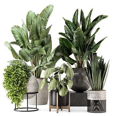 Indoor Plants in Ferm Living Bau Pot Large - Set 2373