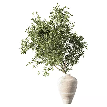 Olive Branch Bouquet Plant 3D model image 1 