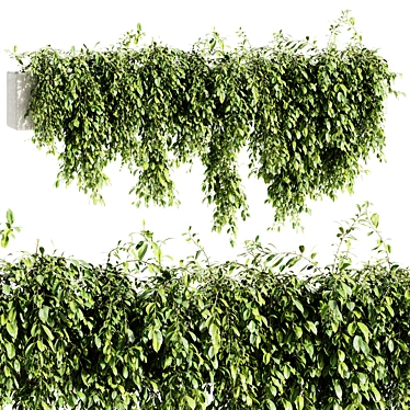 Outdoor Hanging Plant 2015 OBJ 3D model image 1 