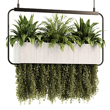 Indoorplants- Hanging Plants Set47