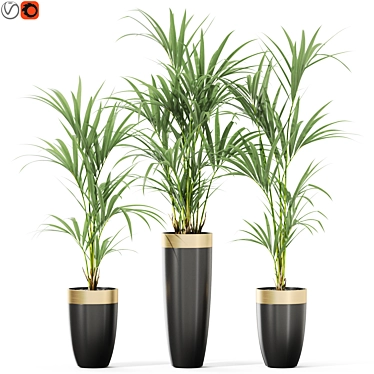 Diverse Plant Collection for 3D 3D model image 1 