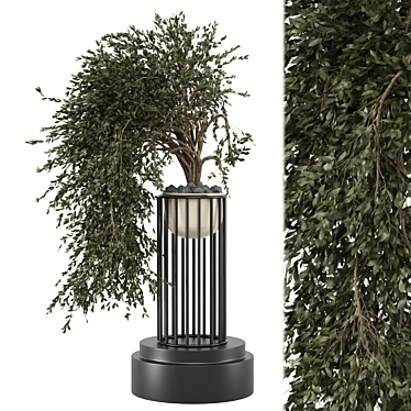 Modern Indoor Plants Set 2015 3D model image 1 