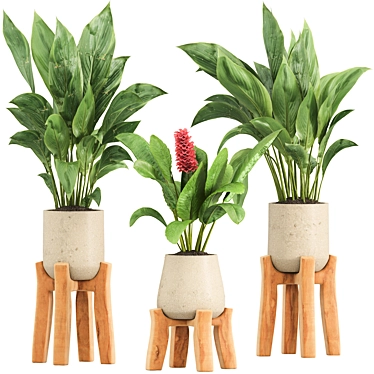 High-Quality Indoor Plant Set 3D model image 1 