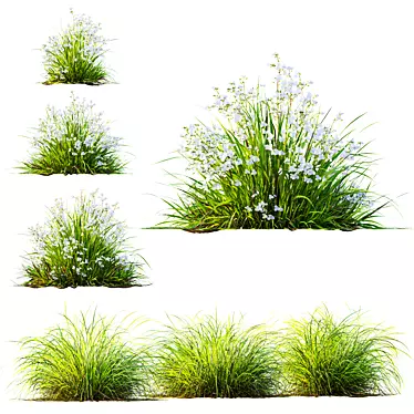 Lush Grass 3D Model Bundle 3D model image 1 