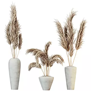 Boho Chic Pampas Grass Decor 3D model image 1 