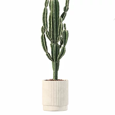 Rattan Pot Plants Collection: Palm, Grass, Cactus 3D model image 1 