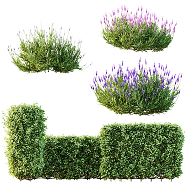 Spring Bush Hedge Set 3D model image 1 